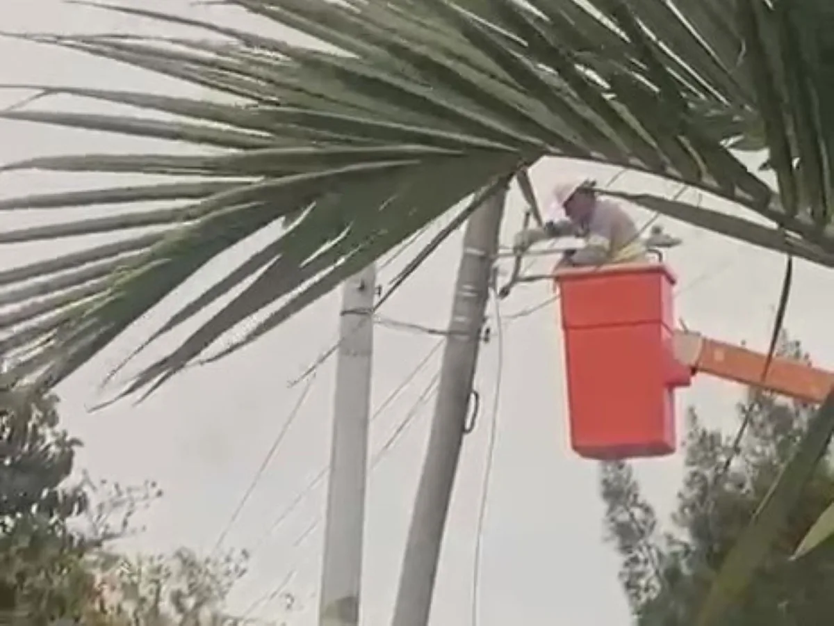 VÍDEO: Terceirizado de companhia de energia é preso por furto de cabos no Litoral Norte do RS