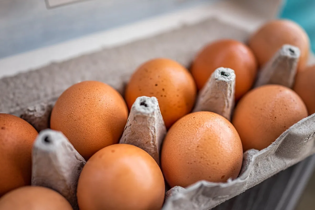 UK households issued ‘do not eat’ warning after Salmonella found in imported eggs