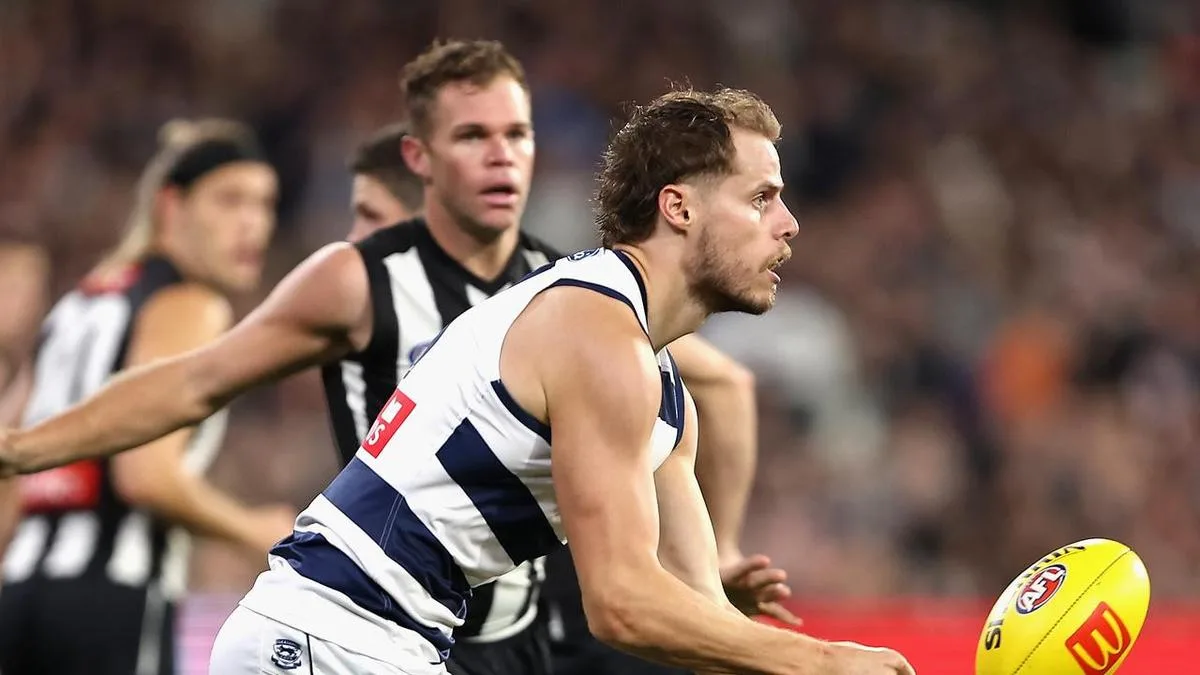 Cats coach coy on concussion controversy