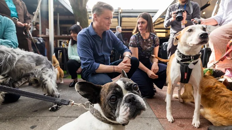 Dogs have been banned inside pubs for 46 years. That could be about to change