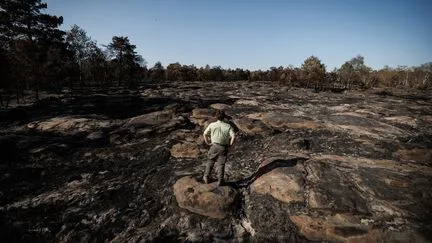 En six mois, 452 cas de "mésinformation climatique", une hausse inédite de 28% par rapport à 2025, selon l'Observatoire des médias sur l'écologie