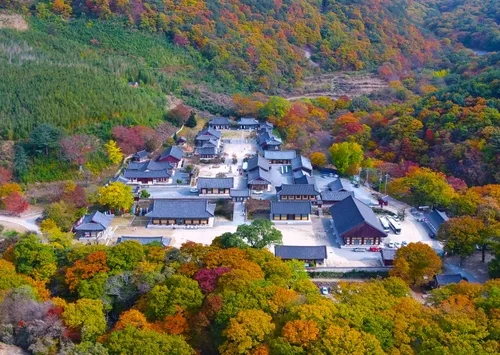 밀양시, 코레일 '지역사랑 철도여행' 자유여행 이용객 1위