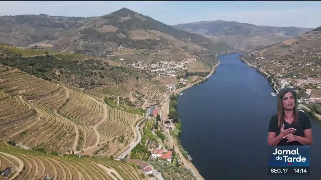 Douro testa a vinha vertical