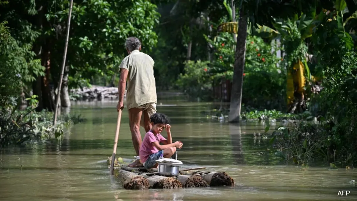 'Was It Man Made?' Gauhati High Court Admits Plea On Deadly Assam Floods