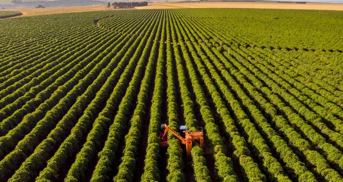 Banco do Brasil (BBAS3) vê melhora no agro com MP, mas provisões podem ficar no teto e lucro no piso do guidance