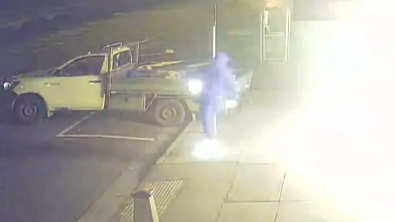 Alleged arsonist sets himself on fire