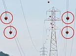 Reason for mysterious orange and white balls seen floating on power lines across America revealed by expert