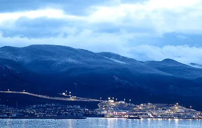 Bloomberg: MSC приостановила перевозки через Новороссийск после атаки на судно