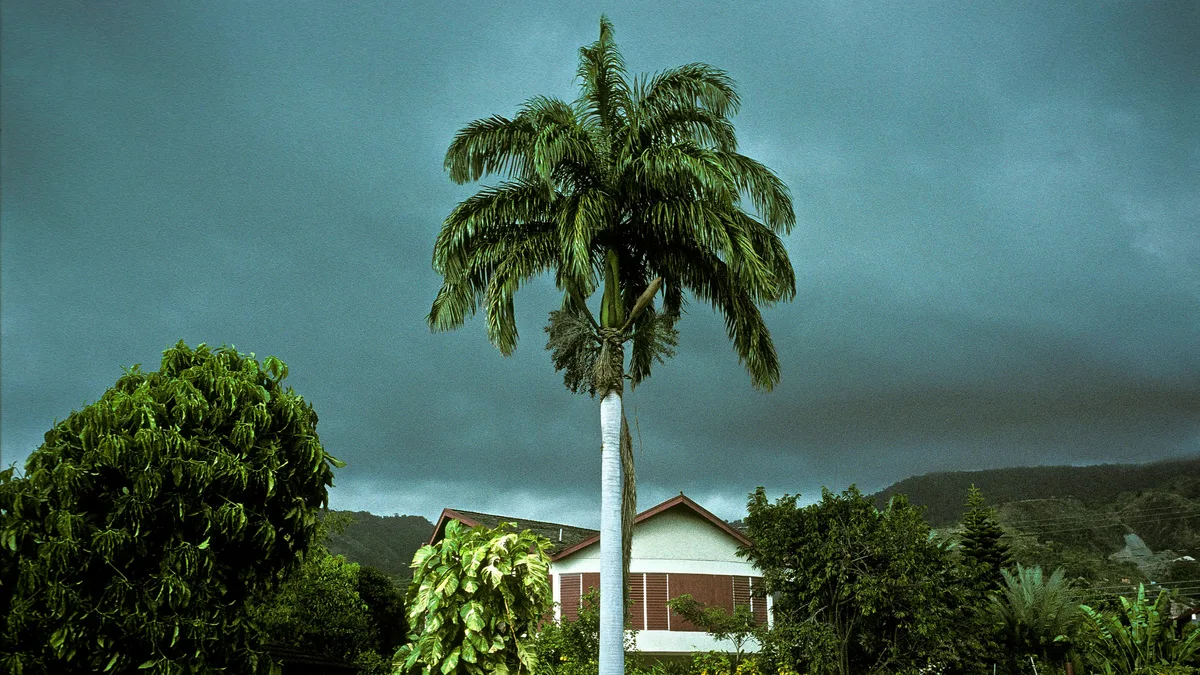 A Bleak, Violent Novel’s Unexpected Delights