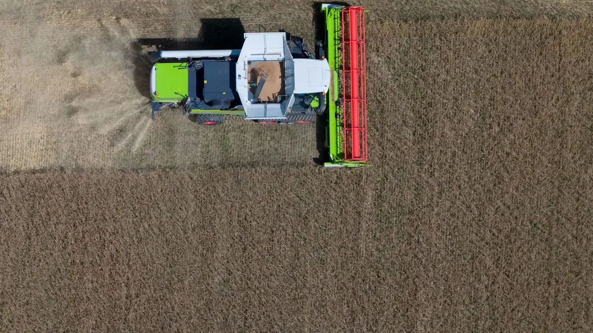 Landwirtschaft: Trockenheit beschert Bauern schlechte Getreideernte