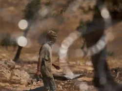 Fotografin im Krankenhaus: Israel meldet Festnahmen nach brutalen Siedlerangriffen