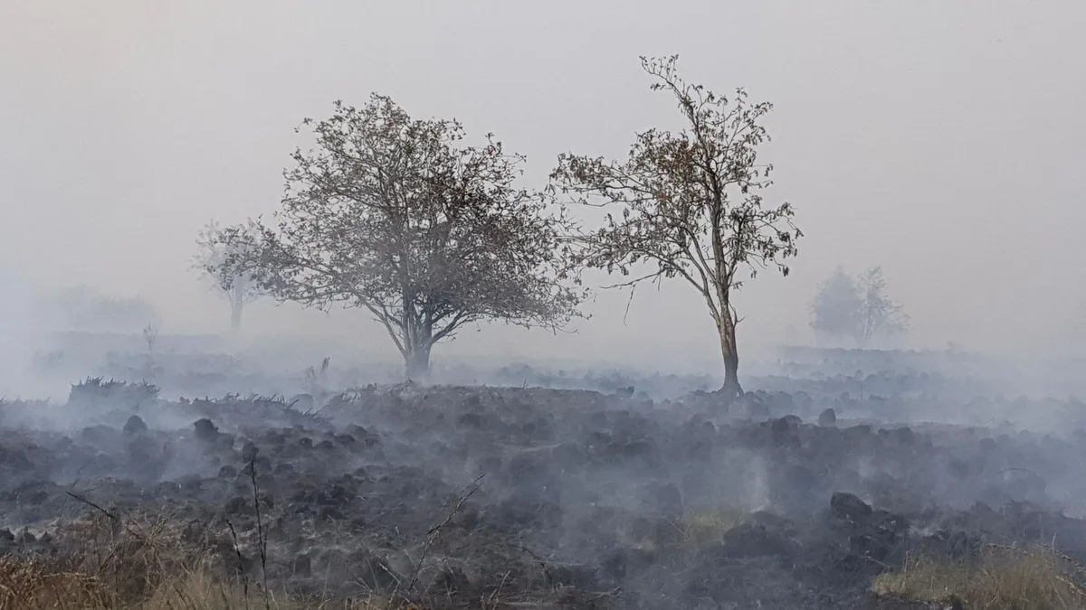 Grenzregion bei Monschau in NRW: Waldbrand in Belgien rückt immer näher