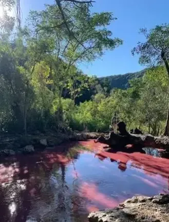 The microplastics hiding in SA’s sacred waters