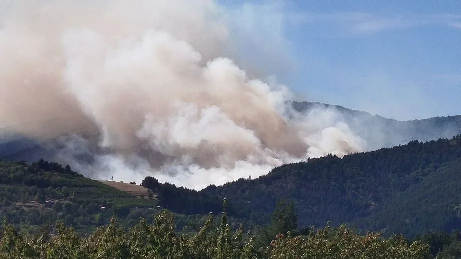 Ardèche : un feu est en cours à Désaignes, déjà 15 hectares parcourus par les flammes, quatre canadairs sont sur place