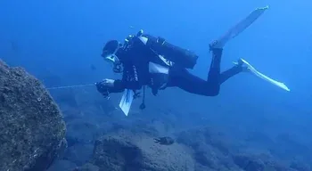 Câmaras de vídeo subaquáticas procuram tubarões, baleias e golfinhos na Madeira
