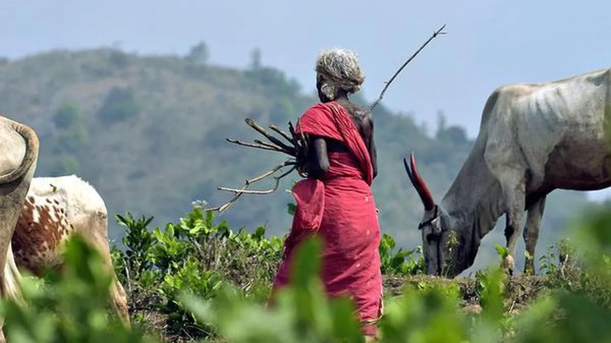 Attappady land grab row returns as tribal farmer files complaint
