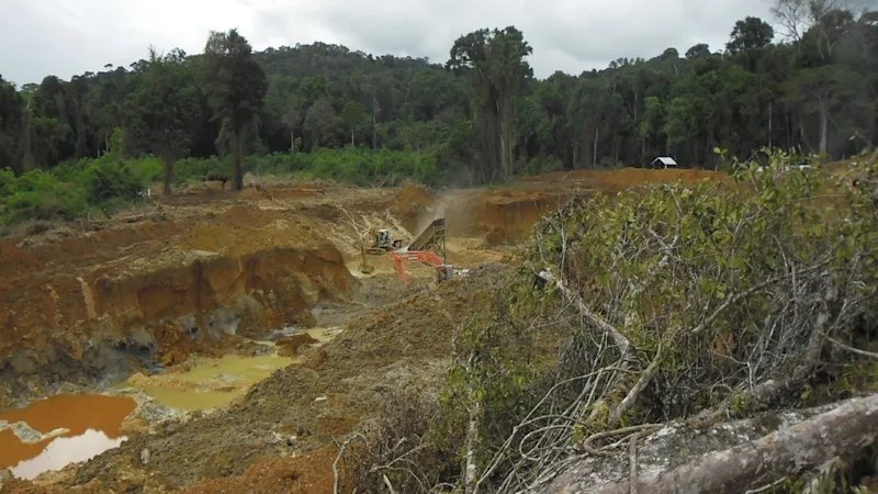 Critical Resources puts boots on Suriname gold ground