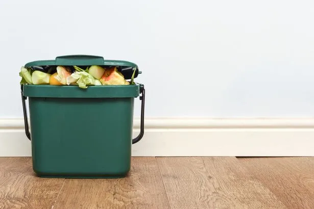 Binman shares simple way to 'stop flies' getting inside food bins