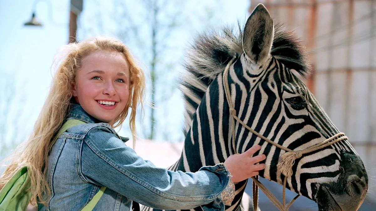 Sie griff immer wieder zu Schmerzmitteln - Trieb ein Zebra-Unfall Hayden in die Drogensucht?