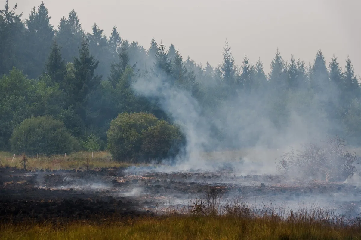 Alemania ordena evacuar parcialmente Monschau, fronteriza con Bélgica, por el gran incendio de Hautes Fagnes