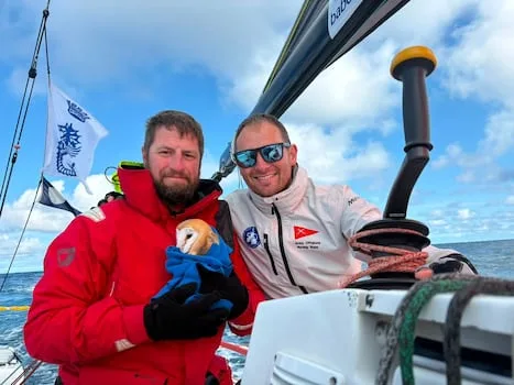 Owl aboard - British army sailors rescue tired bird 70 nautical miles out to sea