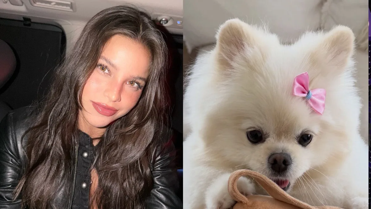 La perrita de Emilia Mernes tiene su propia cartera “Chewy Vuiton” y es furor en las redes