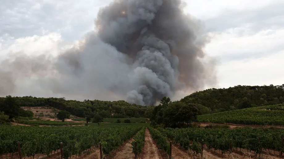 Un vin au "goût de fumée" ? Les viticulteurs varois dans l'incertitude après l'incendie du Gros Bessillon