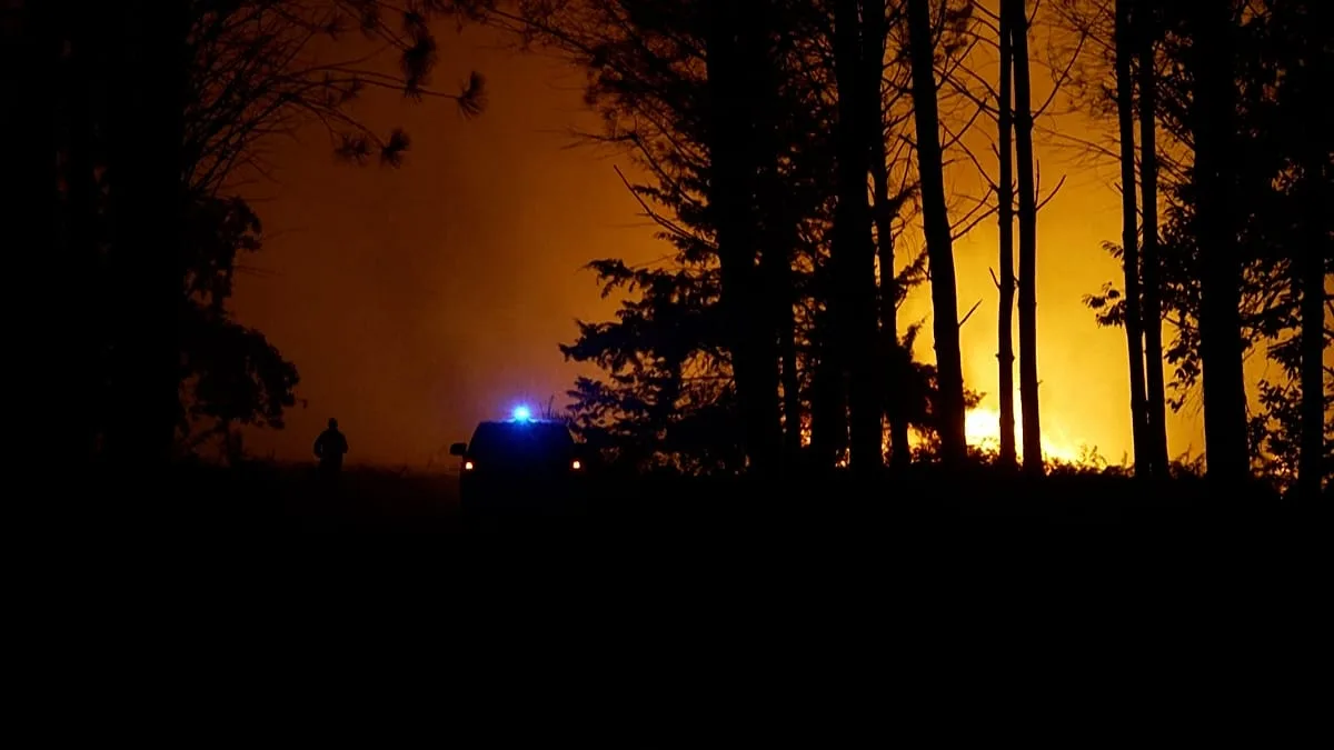 França: incêndio obriga 525 pessoas a fugir na floresta das Landes