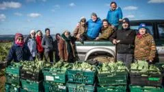 Gleaning group gives £1m of produce to food banks