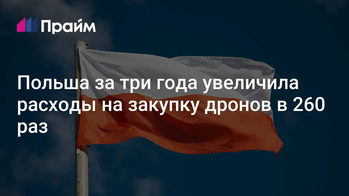 Польша за три года увеличила расходы на закупку дронов в 260 раз