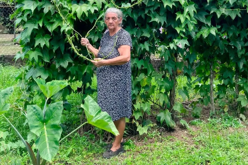 Qué hizo una productora panameña para ser reconocida por la FAO entre las 100 heroínas