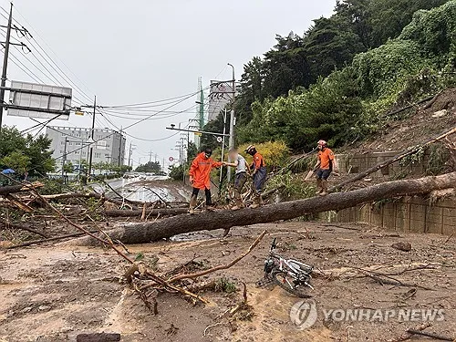 거제·통영 '관측 이래 가장 강하고 많은 비'…최대 100㎜↑ 더