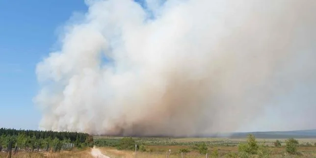 EN DIRECT, incendies et canicule : plus de 2 700 hectares ravagés en Belgique ; dans les Landes, le feu ne progresse plus mais n’est « pas en voie » d’être fixé