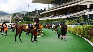 Este es el cuadro sugerido del 5y6 del domingo 23-08-2026 en La Rinconada