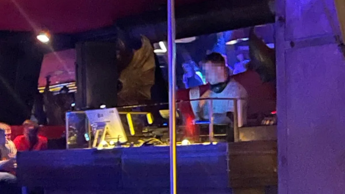 Blaumacher gefeuert - Krankgemeldet! Chef erwischt Mitarbeiter als DJ