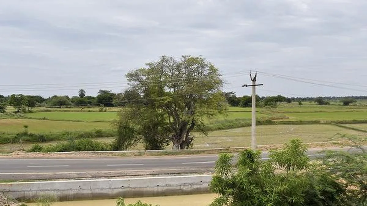 Parandur airport in Chennai scrapped by CM Vijay: What was the project?