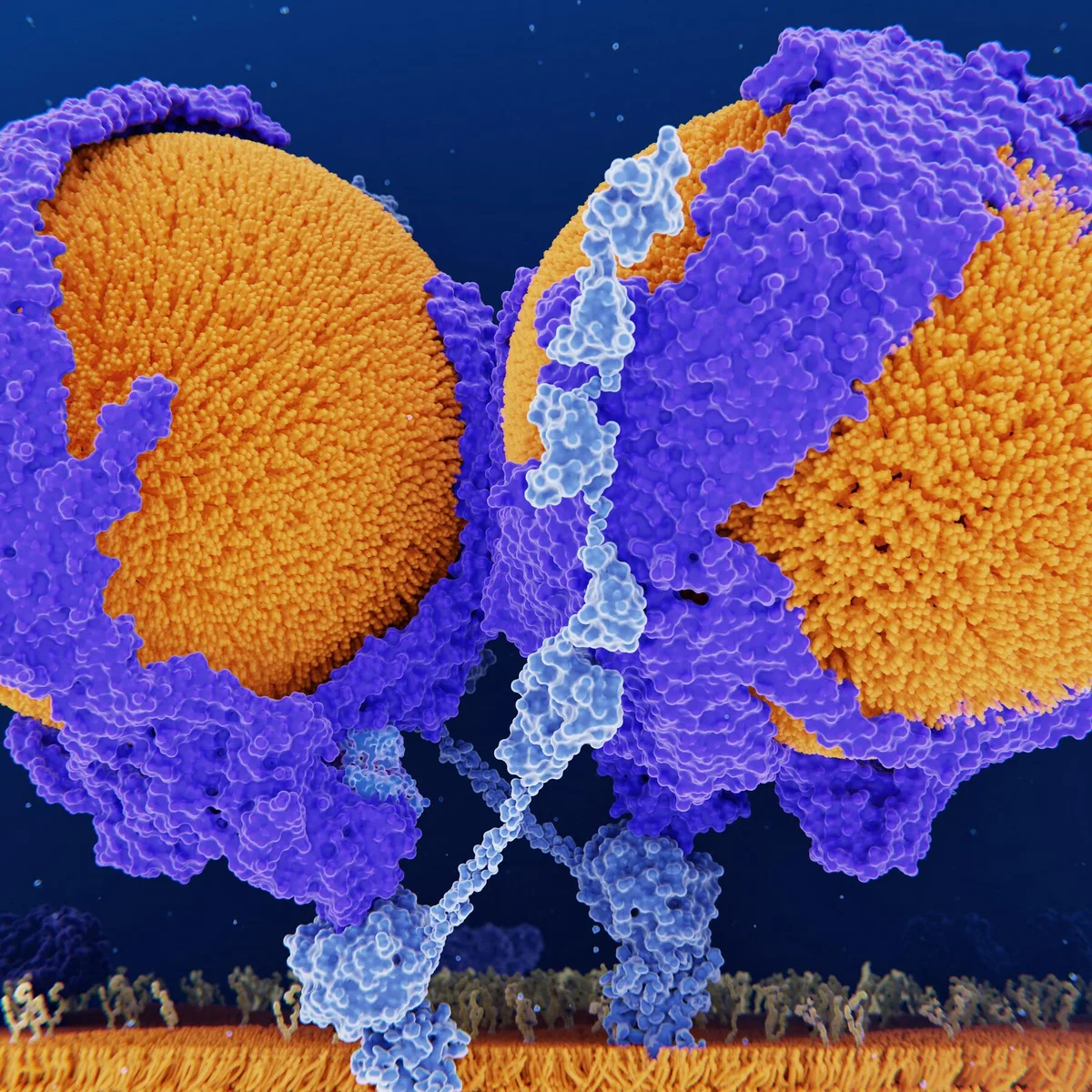 An Experimental Single-Time Treatment Slashed Cholesterol for a Year