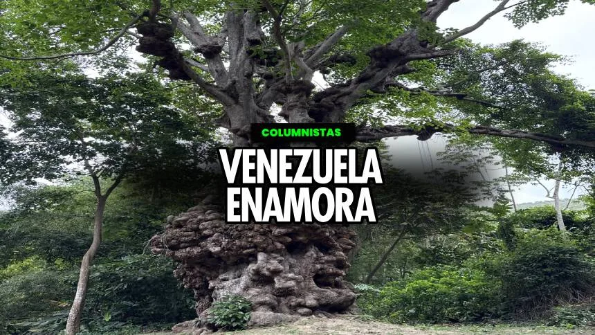 La leyenda del árbol de los espíritus en Chuao