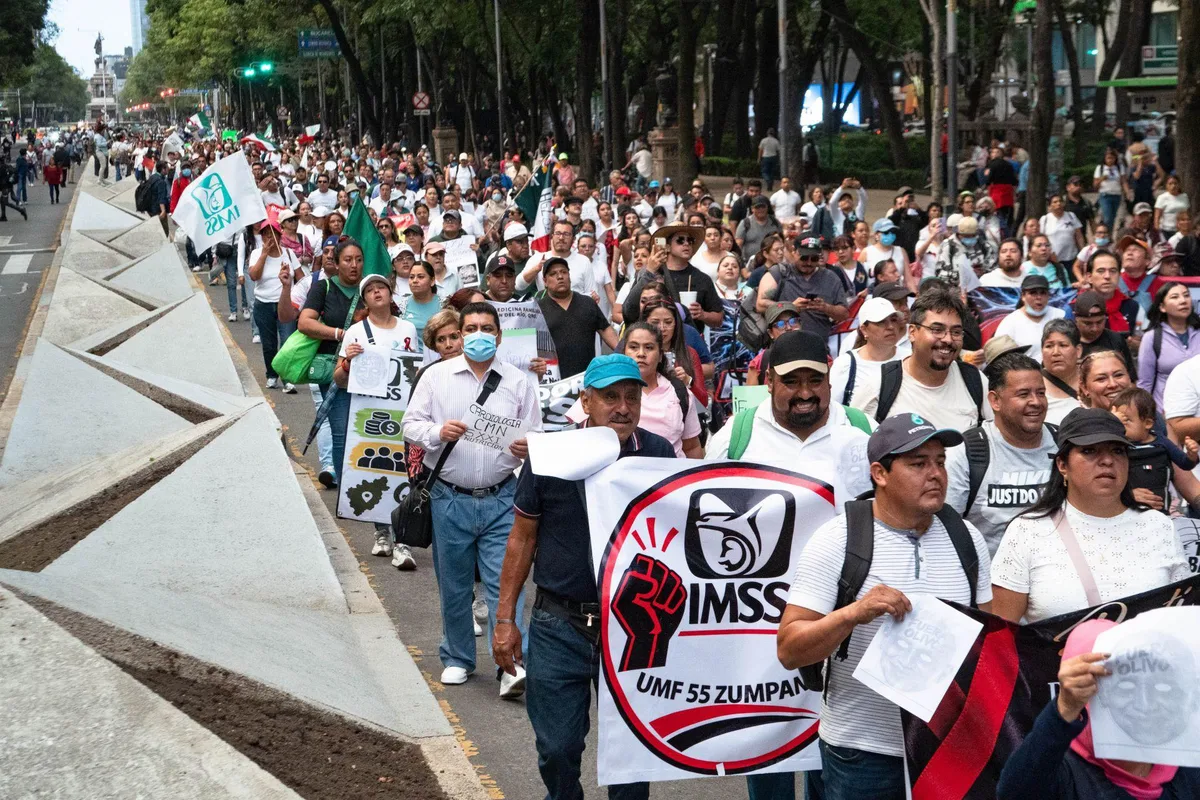 La carga del IMSS
