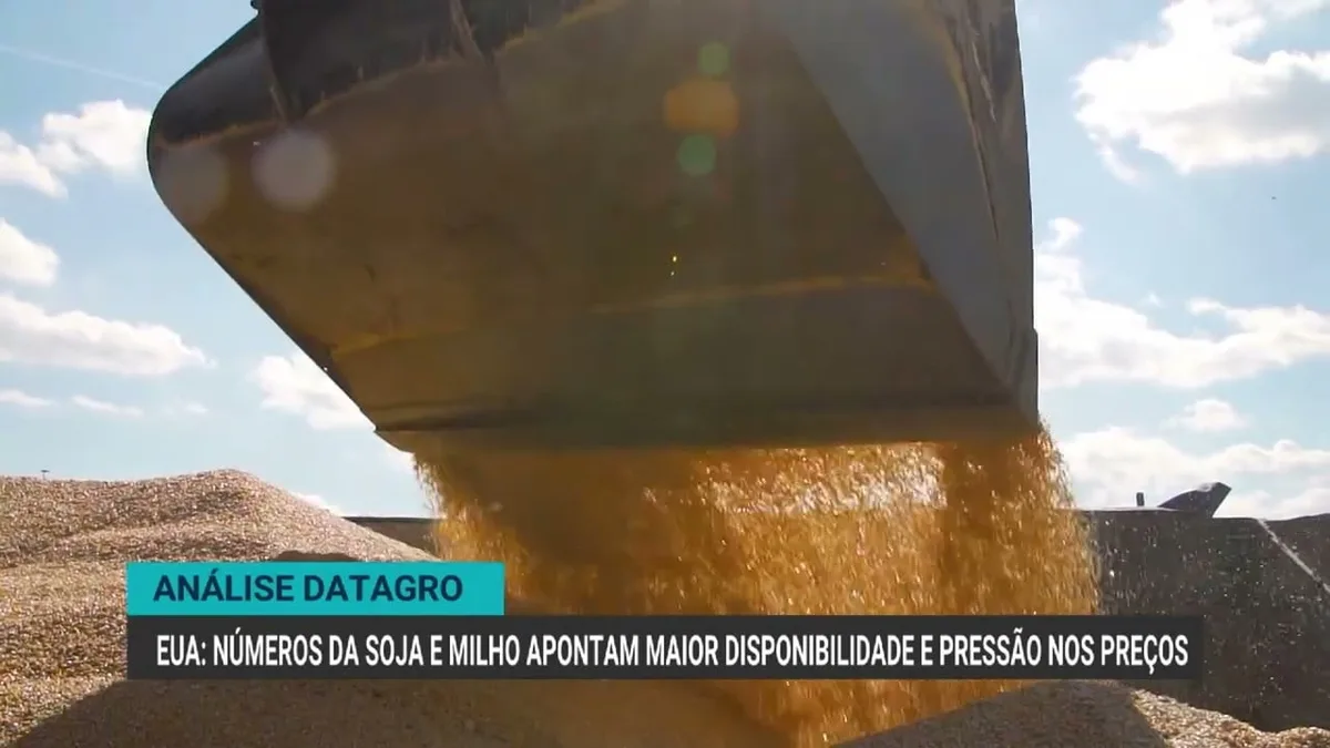 Soja e milho nos EUA: aumento na produção pressiona preços