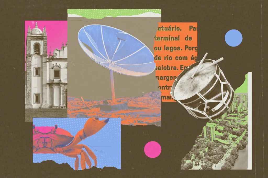 Da lama ao mundo: a história e o legado do manguebeat