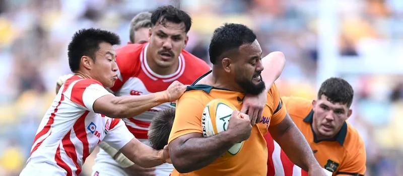 Wallabies ready to test themselves against the best in Springboks clash