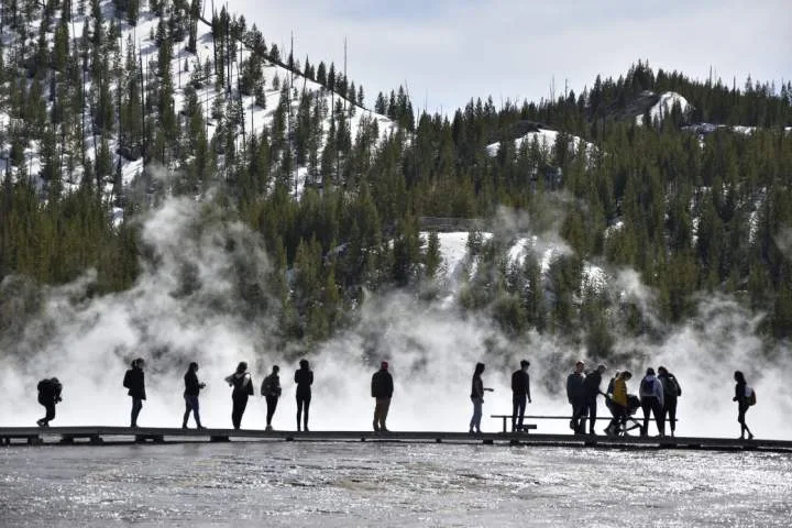 Search for dog still missing in Yellowstone pressured as winter approaches
