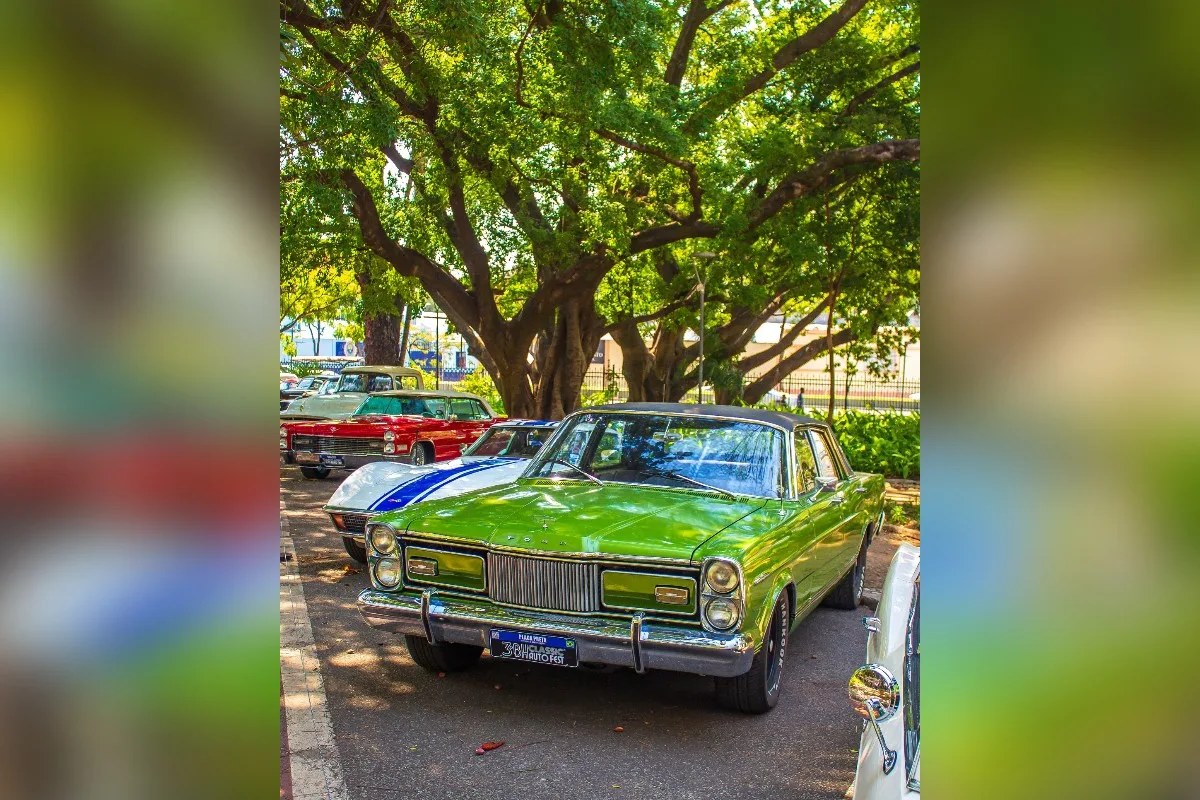 BH Classic Auto Fest reúne mais de 400 carros antigos no Parque Municipal
