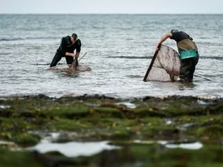 L’eau s’infiltre dans ses cuissardes de pêche : un homme de 79 ans décède de noyade en Normandie