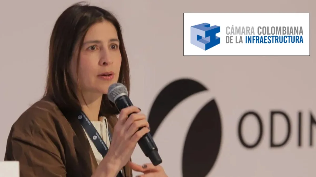 Alertan por “grave precedente” tras presión del Gobierno nacional en la elección de Carolina Soto como presidenta de la Cámara de Infraestructura