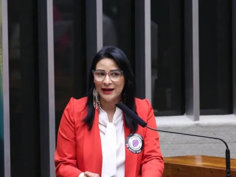 Projeto cria licença de 180 dias para mães após perda gestacional