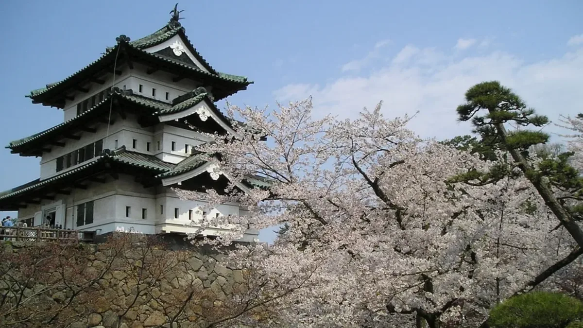1,800 volunteers took turns pulling a 400-ton Japanese castle with ropes and...