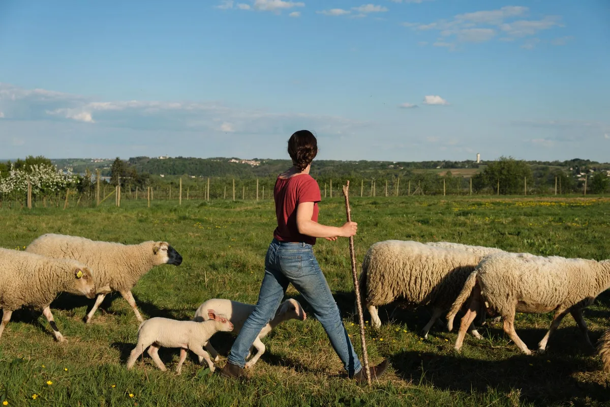 Les femmes, un « vivier crucial » pour l’avenir de l’agriculture… à condition de leur faire de la place