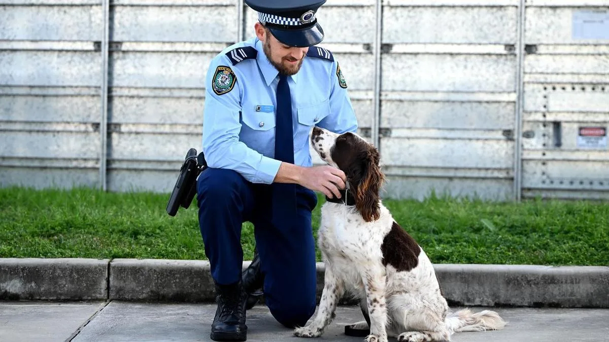 Top honours from all crime fighters great and small